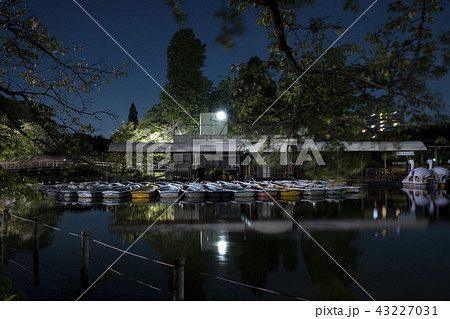 夜の井の頭公園のボート場の写真素材 43227031 Pixta