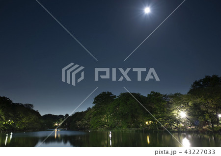 夜の井の頭公園の写真素材 43227033 Pixta