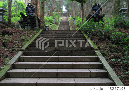 神奈川県南足柄市の大雄山最乗寺の奥の院につながる長い階段(上り) 神奈川県南足柄市の大雄山最乗寺の奥の院につながる長い階段(上り) 43227193
