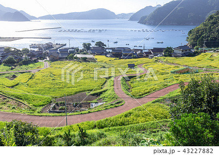 日引の棚田 日引の棚田 43227882