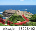 元乃隅稲成神社 / 山口県 (日本）　千本鳥居 43228402