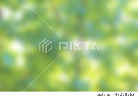Green blurred background Green blurred background 43228962