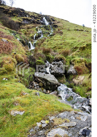 Waterfall and river at Ystad Ybytsy Estate in Wales - United Kingdom Waterfall and river at Ystad Ybytsy Estate in Wales - United Kingdom 43229000