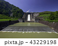 三保ダムの放流 43229198