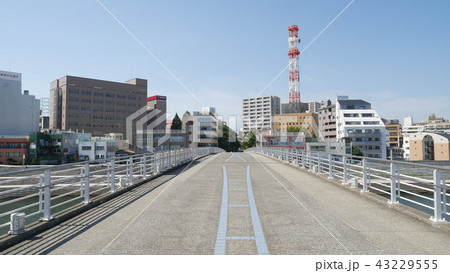あゆみ橋（狩野川） 43229555