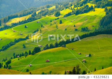 Summer landscape of Switzerland rural country side 43229821