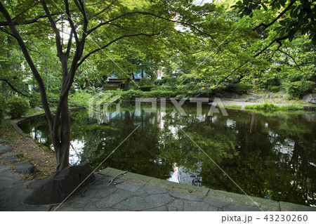 清水谷公園の心字池 清水谷公園の心字池 43230260