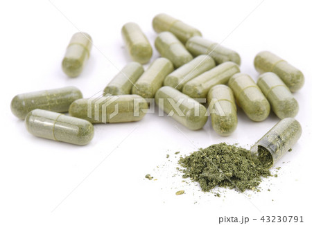 Moringa capsules on with white background 43230791