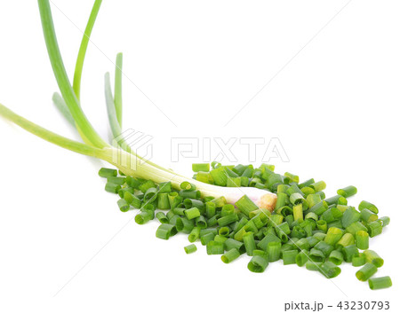 Cut green onion isolated on the white background 43230793