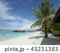 南国の綺麗な海 43231383