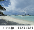 南国の綺麗な海 43231384