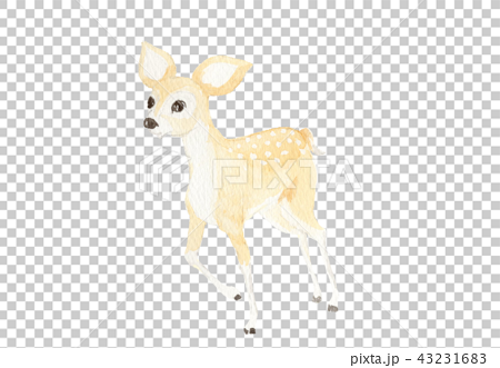 鹿 しか 手描き水彩のイラスト素材