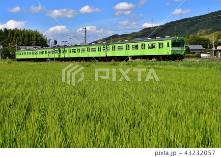鉄道　列車　奈良線　棚倉　玉水　103系　青空　稲穂　田園　夏　夏雲　雲　うぐいす　ウグイス　ローカ 43232057
