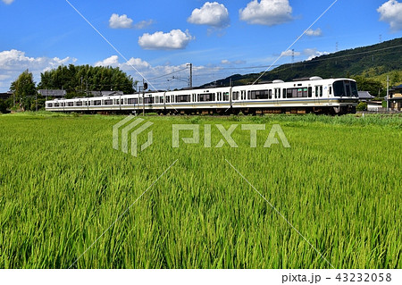 鉄道　列車　奈良線　棚倉　玉水　221系　青空　稲穂　田園　夏　夏雲　雲　　ローカル　普通　JR西日 43232058