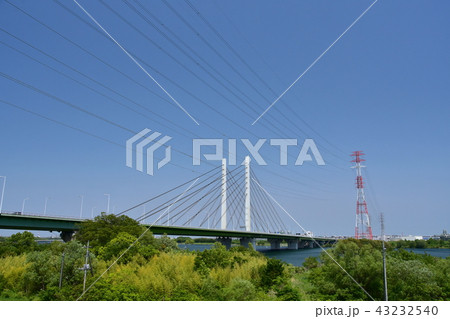 荒川の風景 43232540