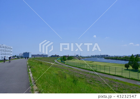 荒川の風景 43232547