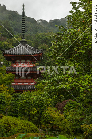 三室戸寺・朝霧に煙る美しの塔 43233151