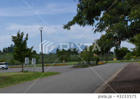 8月の弘前郊外、小栗山農村交流公園駐車場から岩木山を望む 8月の弘前郊外、小栗山農村交流公園駐車場から岩木山を望む 43233575