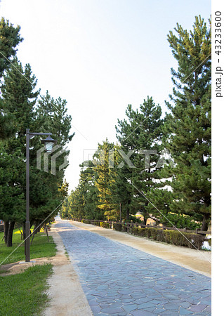 草加松原遊歩道 埼玉県草加市の写真素材