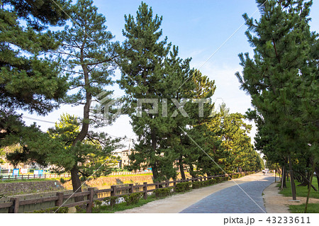 草加松原遊歩道 埼玉県草加市の写真素材