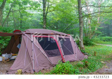 風景物語　初夏のキャンプ 43233723