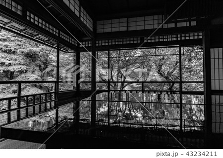 【セピア】新緑の瑠璃光院 【セピア】新緑の瑠璃光院 43234211