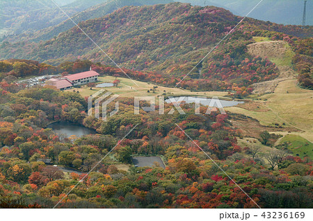 吾妻山　紅葉 43236169