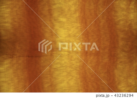 琥珀模様（東京） 43236294