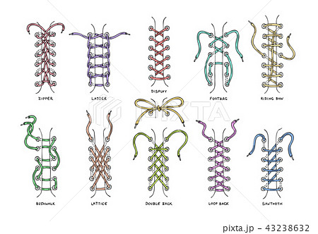 Shoelaces vector shoestring or shoe-laces and fashion accessory for footwear or footgear 43238632