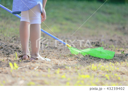 夏 暑さ メミチェ 43239402