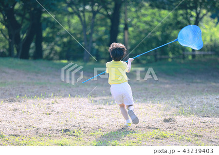 メミチェ 捕虫網 昆虫 43239403