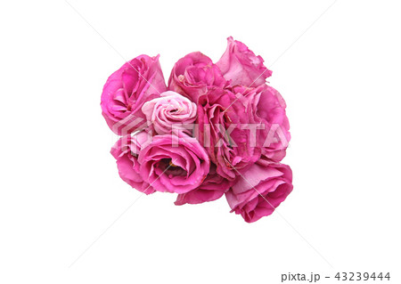 トルコキキョウの花束 43239444