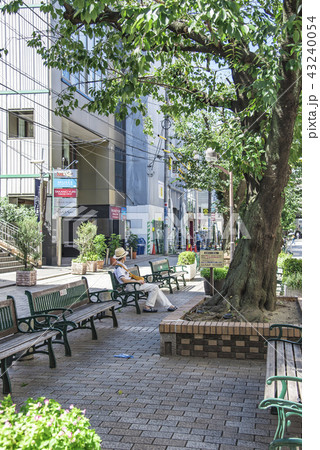 【自由が丘　九品仏川緑道】 43240054