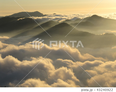 嘉義 阿里山 うんかい 43240922