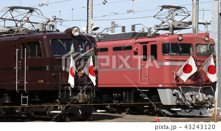 平成最後の夏、昭和のお召機関車が並ぶ 43243120