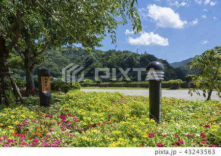 神奈川県立相模湖公園 神奈川県立相模湖公園 43243563