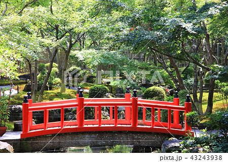日本庭園の太鼓橋の写真素材