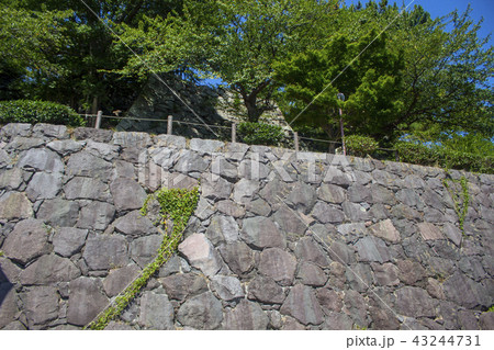 日出城址 43244731