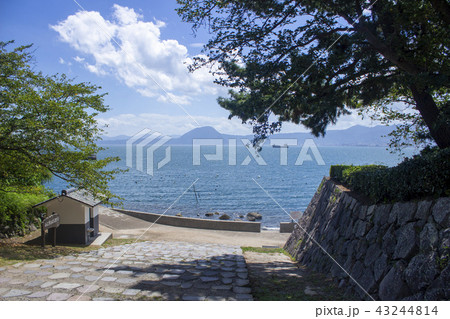 日出城下公園と別府湾 43244814