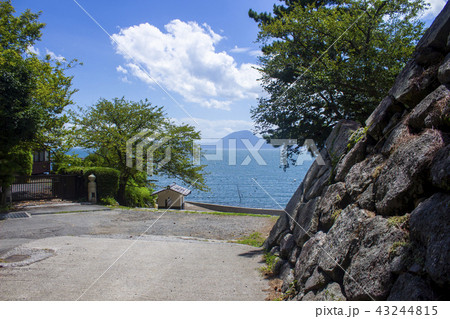 日出城下公園と別府湾 43244815