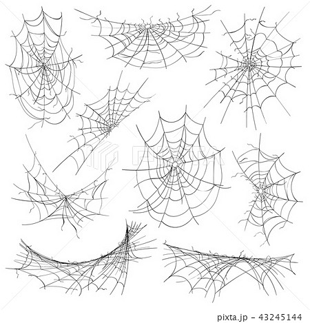 Halloween Cobweb Setのイラスト素材