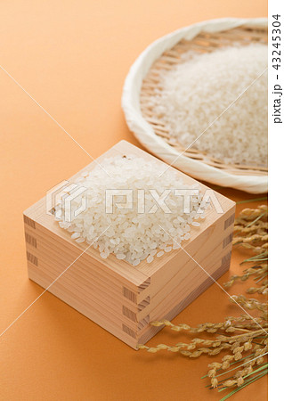 米 43245304