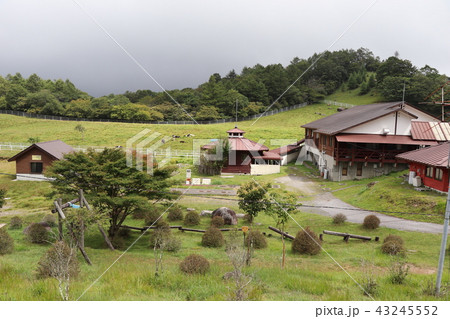 栃木県の夏イメージ(前日光牧場) 栃木県の夏イメージ(前日光牧場) 43245552