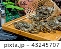 蟹 かに カニ 43245707