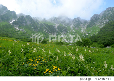木曽駒ケ岳　初夏 43246741