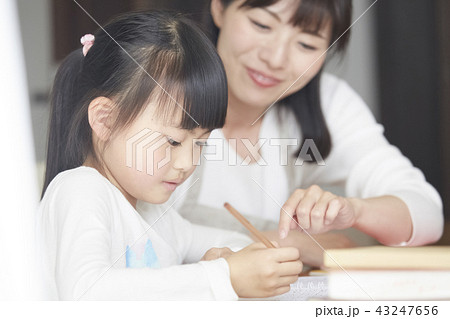 勉強をする女の子 43247656