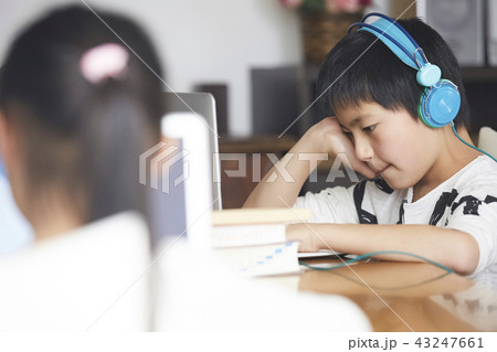 勉強をする女の子と男の子 43247661