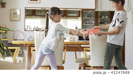 ケンカをする子供たち 43247689