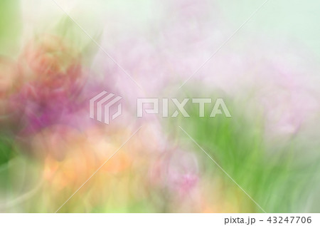 Blurred Pink Floral field background. 43247706