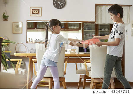 ケンカをする子供たち 43247711